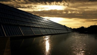 renewable-energy-consulting:-guiding-green-transitions